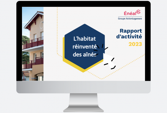 rapport d'activité
